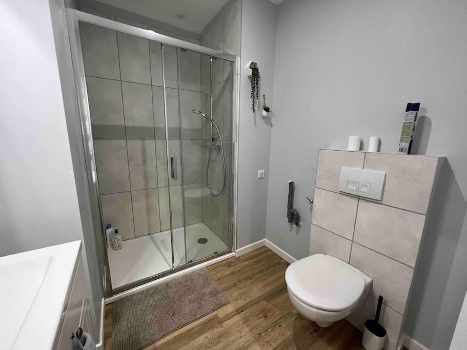 Appartement Climatise / Centre-Ville / 4 Personnes Besancon Exterior photo
